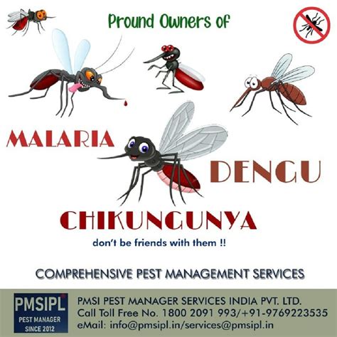 Mosquito Pest Control Services At Best Price In Mumbai Id