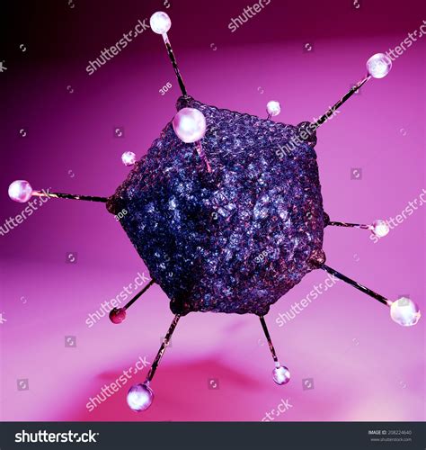 Adenoviruses Family Adenoviridae Their Name Derives Stock Illustration ...