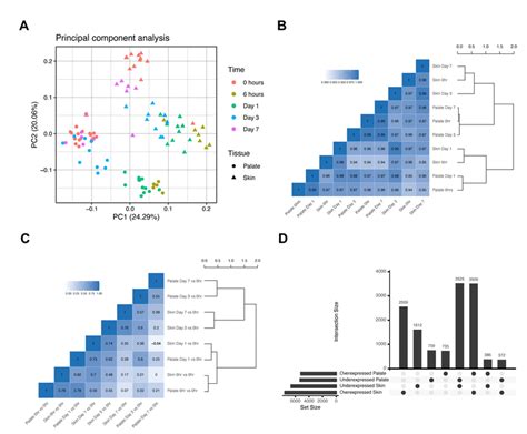 Comparative Analysis Of Transcriptomic Response To Injury A Principal