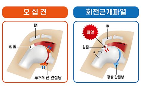 대전우리병원