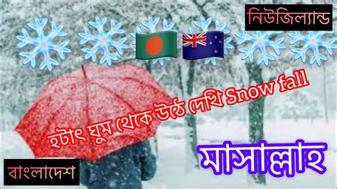 Snow Fall Morning In New Zealand নিউজিল্যান্ডের সকাল হটাৎ তুষার পাতে