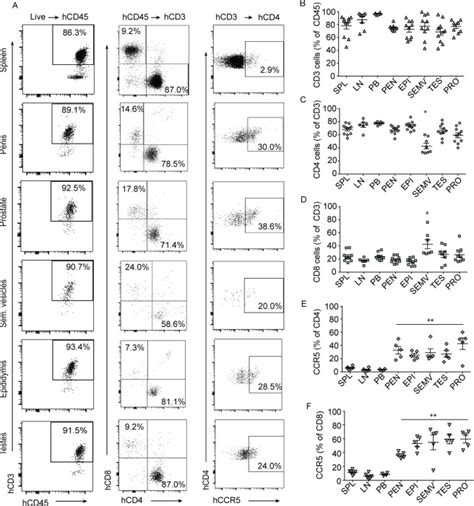 Monoclonal Rabbit Anti Human Cd3 Thermo Fisher Bioz