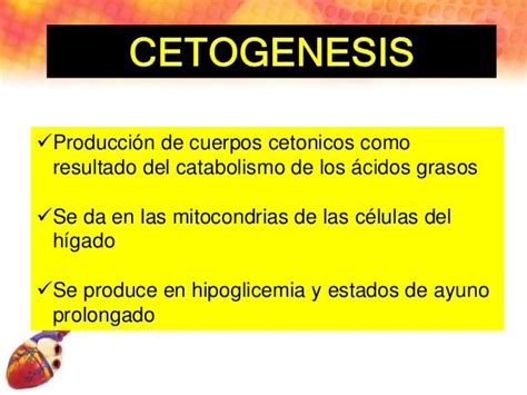 Cetogenesis Cetolisis