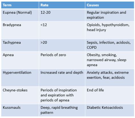 Nur Exam Thorax And Lungs Flashcards Quizlet