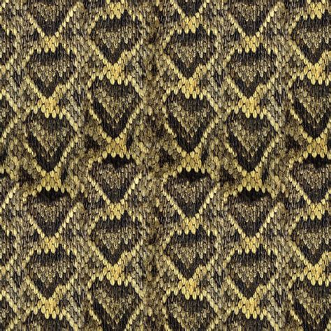 Diamondback Rattlesnake Skin – Pattern Crew