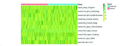 A Heatmap Shows The Radiomic Features Each Column And Row Correspond Download Scientific