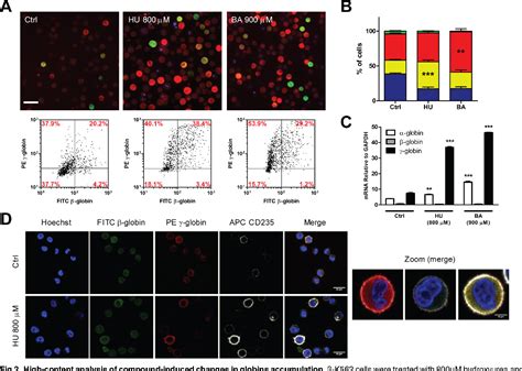 Figure 2 From A Novel High Content Immunofluorescence Assay As A Tool