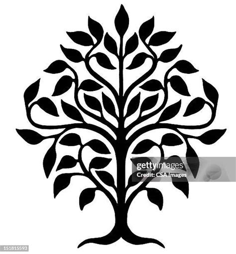 Family Tree Symbols Photos and Premium High Res Pictures - Getty Images