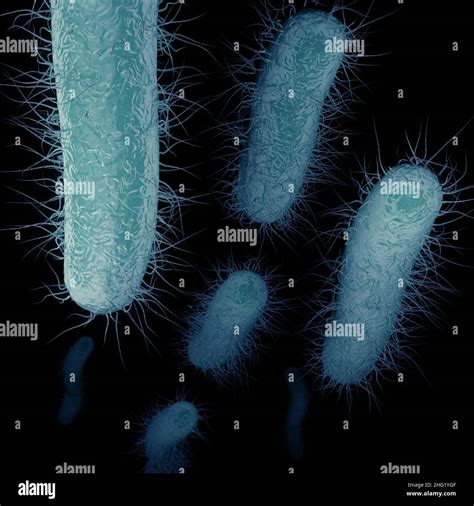 The Superbug Known As Carbapenem Resistant Enterobacteriaceae Cre