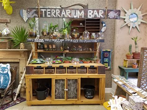 Bar Terrarium Perth At Samantha Lee Blog