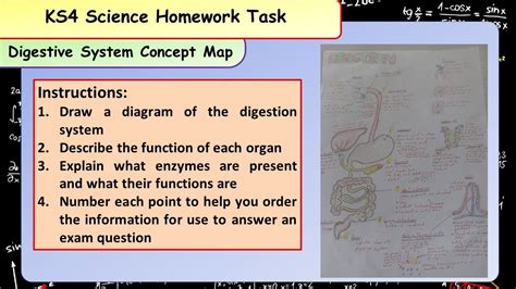 476 Chapter 24 Digestive System Concept Map Answers Map