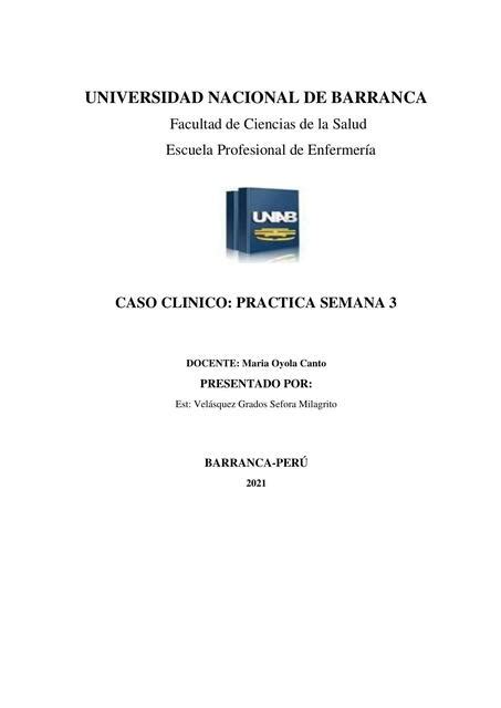 Caso Clínico 2 Diabetes Mellitus Sefora Velasquez Udocz