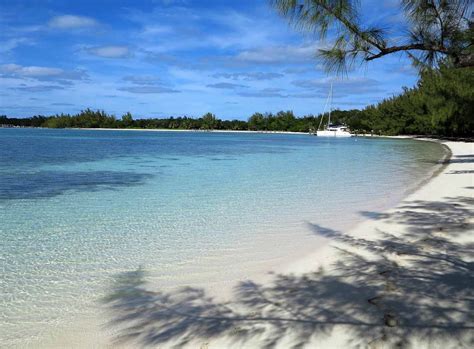 Coco Bay - Green Turtle Cay, Bahamas | Abaco bahamas, Green turtle, Bahamas