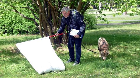 Gefahr oder Entwarnung Zecken Forscher untersucht Südpark in Erfurt