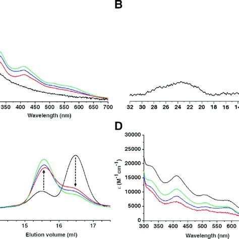 NUBP1 Binds 4Fe4S 2 Clusters At Both N Terminal And C Terminal