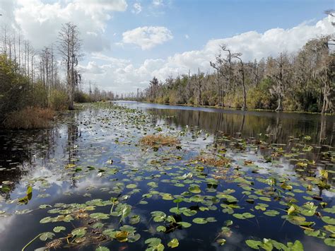 Okefenokee National Wildlife Refuge Georgia Leisure Travel Vans