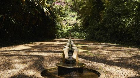 Allerton And Mcbryde Gardens Kauai Go Hawaii