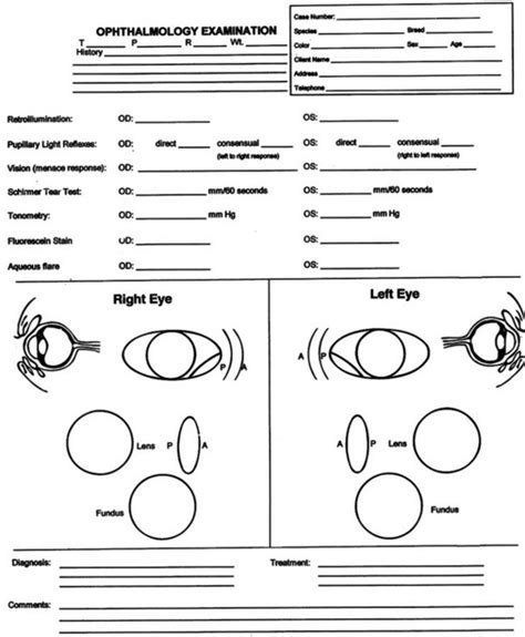 Ophthalmology Exam Form Printable - Printable Forms Free Online