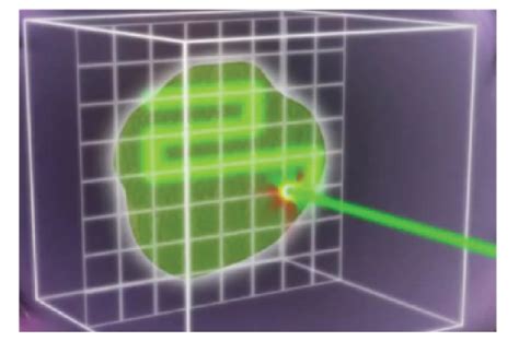 Proton Beam Therapy For Localized Prostate Cancer 101 Basics Controversies And Facts