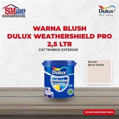 Jual Cat Tembok Exterior Dulux Weathershield Pro Shopee Indonesia