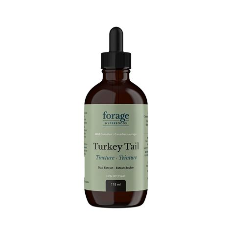 Wild Canadian Turkey Tail Mushroom Tincture Forage Hyperfoods