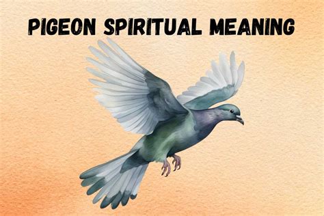 Pigeon Spiritual Meaning and Symbolism (+Totem & Spirit) | What Spiritual