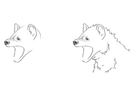 Hyena Drawing: Step By Step, Easy, Cute and Head