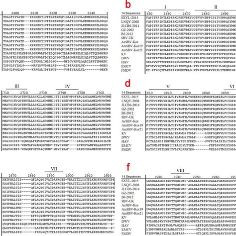 Alignment Of The Amino Acid Sequence Of The RdRp Of CSBV Eight