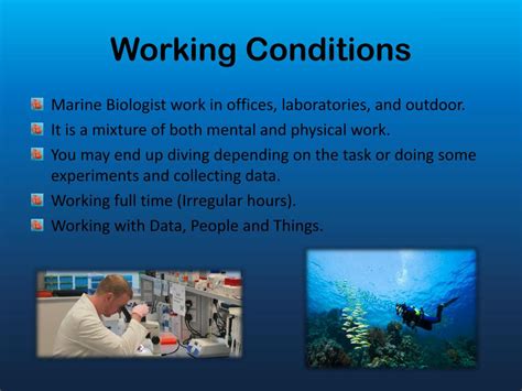 Ppt Marine Biology Powerpoint Presentation Free Download Id2230658