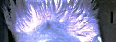 My Hair My Hair Lesbian Tomboy Flickr