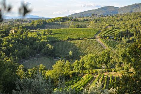 An Introduction To Chianti And Advice Tuscany Now And More