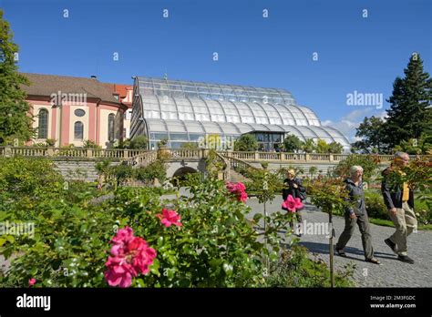 Rosengarten Palmenhaus Insel Mainau Baden Württemberg Deutschland