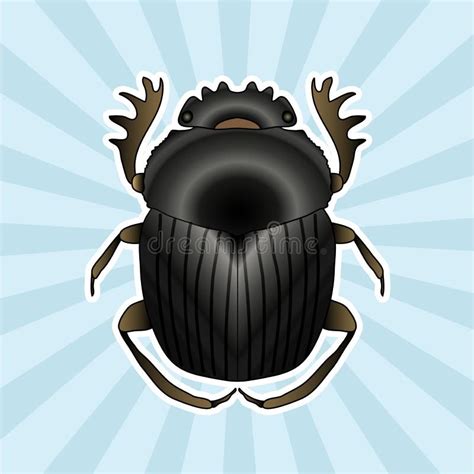 Insectanatomie De Dor Kever Van Stickergeotrupidae Schets Van Dor Kever