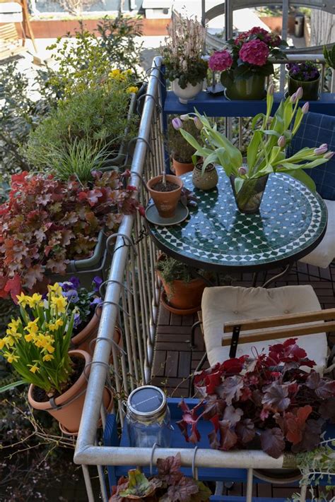 Several Potted Plants Are Sitting On A Balcony Table With Chairs And