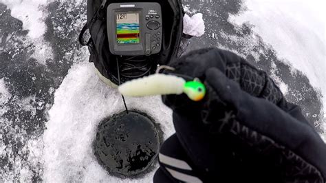 Ice Fishing With Artificial Waxworms Multispecies Action YouTube