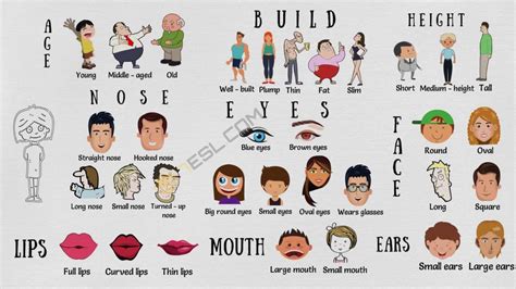 Adjectives For Describing A Person S Physical Appearance Esl