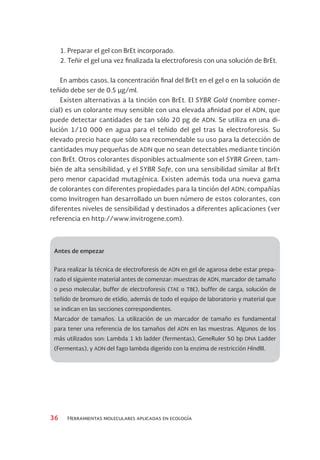 Electroforesis Gel De Agarosa Pdf