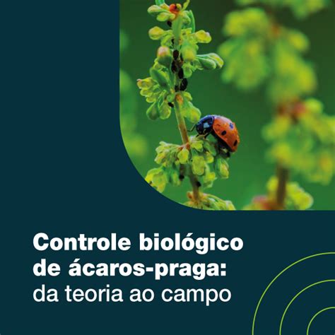 Controle Biológico De ácaros Praga Da Teoria Ao Campo Elevagro Hotmart