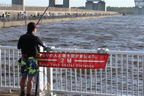 手ぶらで釣りが楽しめる、若洲海浜公園海釣り施設｜my Tokyo 東京都公式ポータルサイト