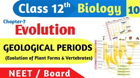 Evolution Of Plant Forms Vertebrates Through Geological Periods