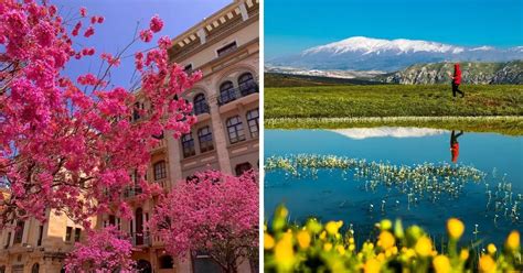 20+ Splendid Photos Of Spring Blooming In Lebanon