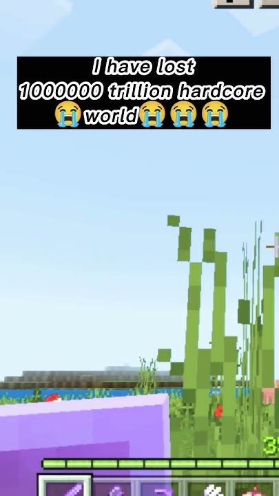 I Lost My 1000000 Trillion Hardcore World 😭😭😭 Minecraftshorts