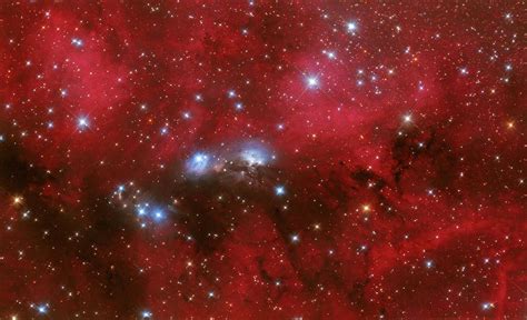 Ngc 6914 Is A Reflection Nebula Photograph By Lorand Fenyes Pixels