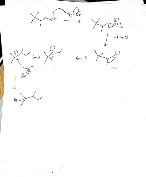 Solved 2 3 3 Tri Methyl Butan 1 01 1 Bromo 2 3 3