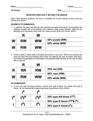 Genetics Practice 2 Beyond The Basics Answer Key Fill Online