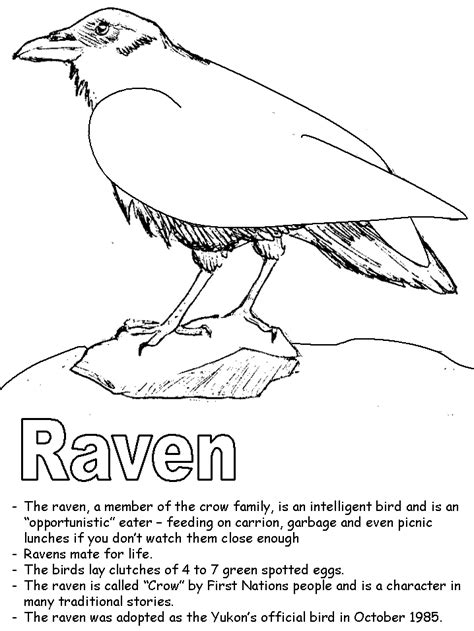 Raven Coloring Page