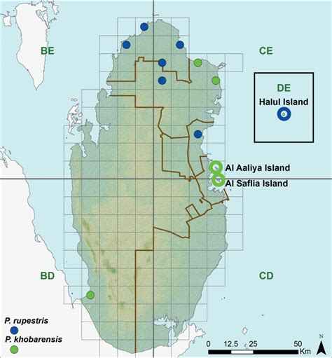 Distribution Of Pseudoceramodactylus Khobarensis And Pristurus