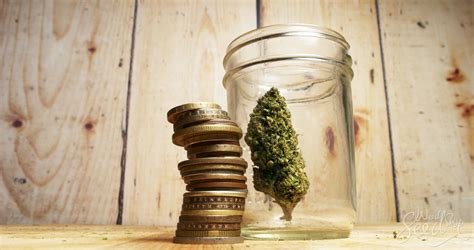 L économie Du Cannabis Weedseedshop