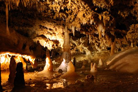 File Grotte Du Grand Roc Les Eyzies De Tayac 20090923  Wikimedia Commons