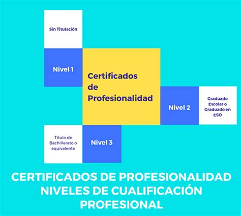 Las competencias clave como vía de acceso a la formación vinculada a